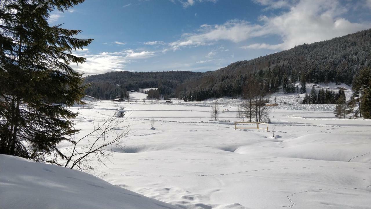 Haus Senn Lägenhet Seefeld in Tirol Exteriör bild