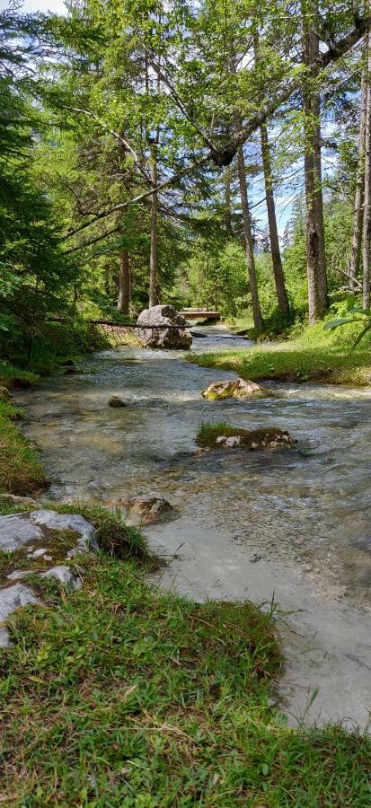 Haus Senn Lägenhet Seefeld in Tirol Exteriör bild
